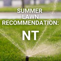 Summer Lawn Tips: Northern Territory