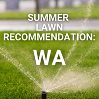 Summer Lawn Tips: Western Australia