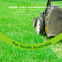 Best Lawn Spring Recommendations for SOUTH AUSTRALIA
