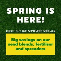 SPRING SEPTEMBER SPECIALS 2021