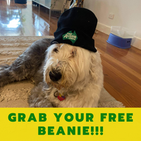 Grab a FREE beanie! See the details