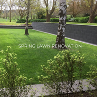 SPRING LAWN RENOVATION TIME