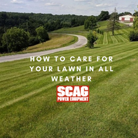 How to care for your lawn in all weather conditions