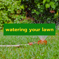WATERING YOUR LAWN