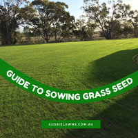 Step by Step Guide to Sowing Lawn Seed