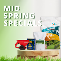 Mid Spring Lawn Special: Get Your  Lawn Looking Its Best!