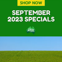 GREAT AUSSIE LAWNS - SEPTEMBER SPECIALS 2023