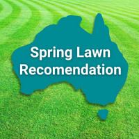 The best lawn seed type for your area – Find Grass Seed by Location in Australia for Spring!