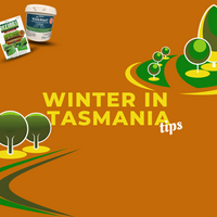 Lawn Winter Tips for Tasmania 2022