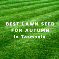 Your Best Autumn Lawn in Tasmania