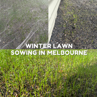 WINTER LAWN SOWING IN MELBOURNE