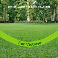 Best Lawn Spring Recommendations for VICTORIA