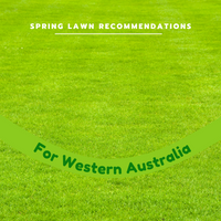 Best Lawn Spring Recommendations for WESTERN AUSTRALIA