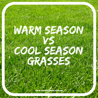 Home Lawn Seed - WARM Season AND COOL Season Grasses