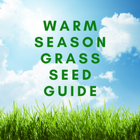 Warm Season Grass Seed Guide