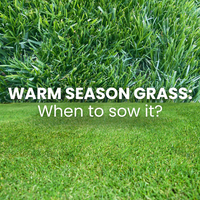 When to Sow Kikuyu and Couch Warm Season Grass?