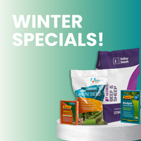 Transform Your Lawn with our Winter Specials