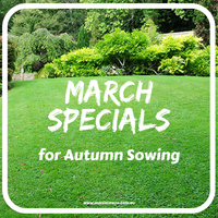 March Lawn Seed Specials at Great Aussie Lawns