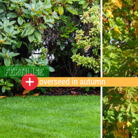 Fertilise and Overseed Your Lawn in Autumn