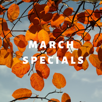 SPECIALS: Autumn Specials are here!