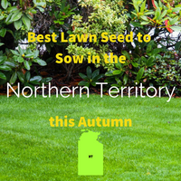 AUTUMN LAWNS: Best Lawn Seed to sow in Northern Territory this Autumn