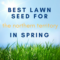 SPRING LAWNS: Best Lawn Seed to Sow in the Northern Territory in Spring