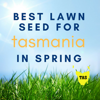 SPRING LAWNS: Best Lawn Seed to Sow in Tasmania in Spring