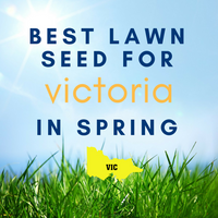 SPRING LAWNS: Best Lawn Seed to Sow in Victoria in Spring
