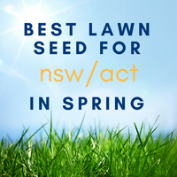 SPRING LAWNS: Best Lawn Seed to Sow in NSW/ACT in Spring