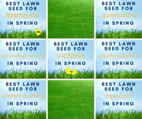 AUSTRALIAN LAWNS: What to plant in your State of Australia this Spring