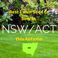 AUTUMN SOWING - Best Lawn Seed to Sow in NSW/ACT 2020