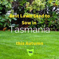 AUTUMN SOWING - Best Lawn Seed to Sow in Tasmania 2020