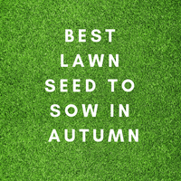 AUTUMN LAWNS - Best Lawn Seed to Sow in Your State