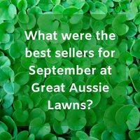 What were the best sellers for September at Great Aussie Lawns?