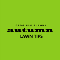 Autumn Lawn Care Tips for 2020