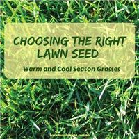 Choosing the Right Lawn Seed - Warm and Cool Season Grasses