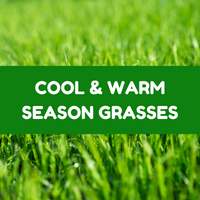 Cool & Warm Season Grasses