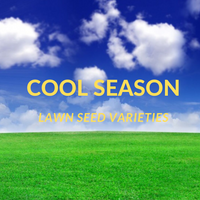 COOL SEASON LAWN VARIETIES - Learn more