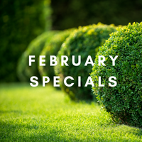 FEBRUARY SPECIALS 2020