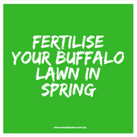 Time to Fertiilise Your Buffalo Lawn!