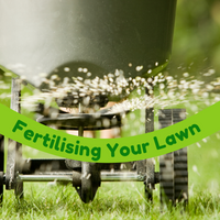 FERTILISING YOUR LAWN PRE-WINTER