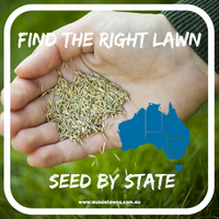 Choose the best lawn seed type for your area – Find Grass Seed by Location in Australia for Spring!
