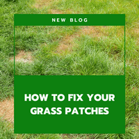 How to Fix Grass Patches