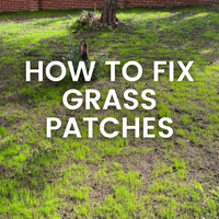 How to Fix Grass Patches