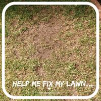Reader Question: How do I fix the dirt patches in my lawn?