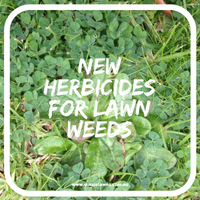 New Herbicide Weed Control Products - Clear Up Bio