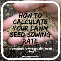How to calculate your lawn seed sowing rate – How much lawn seed do I need to buy?