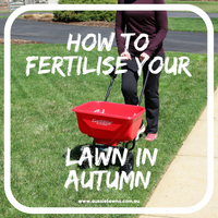 How to Fertilise Your Lawn in Autumn