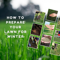 How to Prepare Your Lawn For Winter