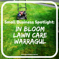 Small Biz Spotlight - In Bloom Lawncare